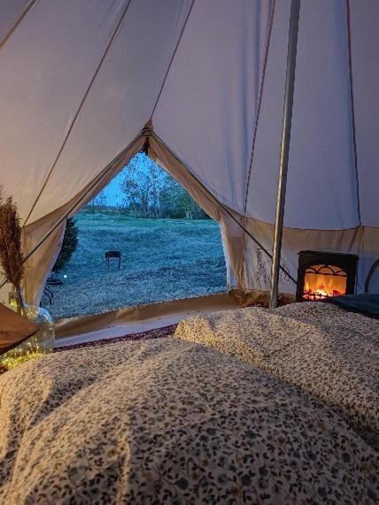 Luxury tent Glempinga Telts Smilga