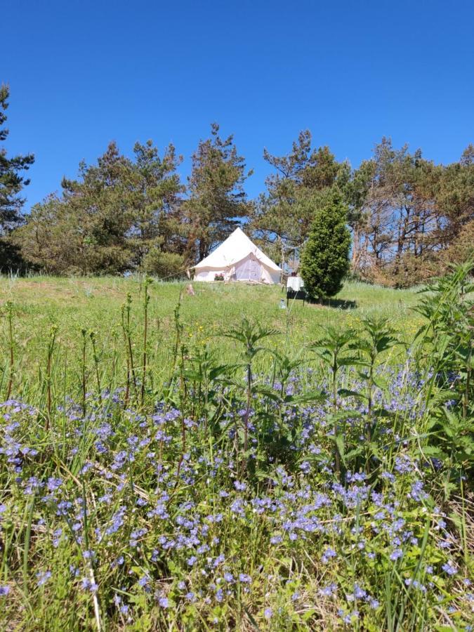 Luxury tent Glempinga Telts Smilga Liepaja