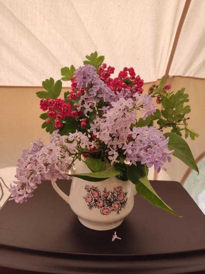 Luxury tent Glempinga Telts Smilga Liepaja