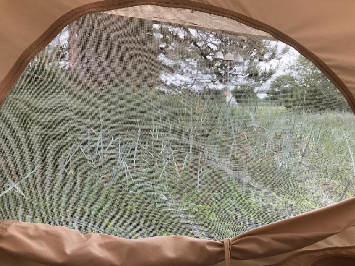Luxury tent Glempinga Telts Smilga *